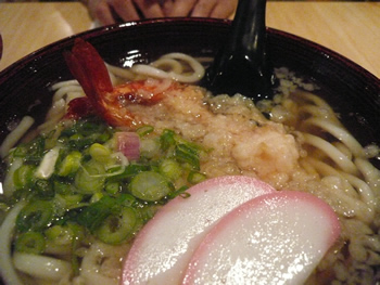 「浪花ＹＡ」天ぷらうどん９ユーロ！　天ぷらがアツアツでおいしかったです！麺はヤワヤワふわふわ系・・・・。